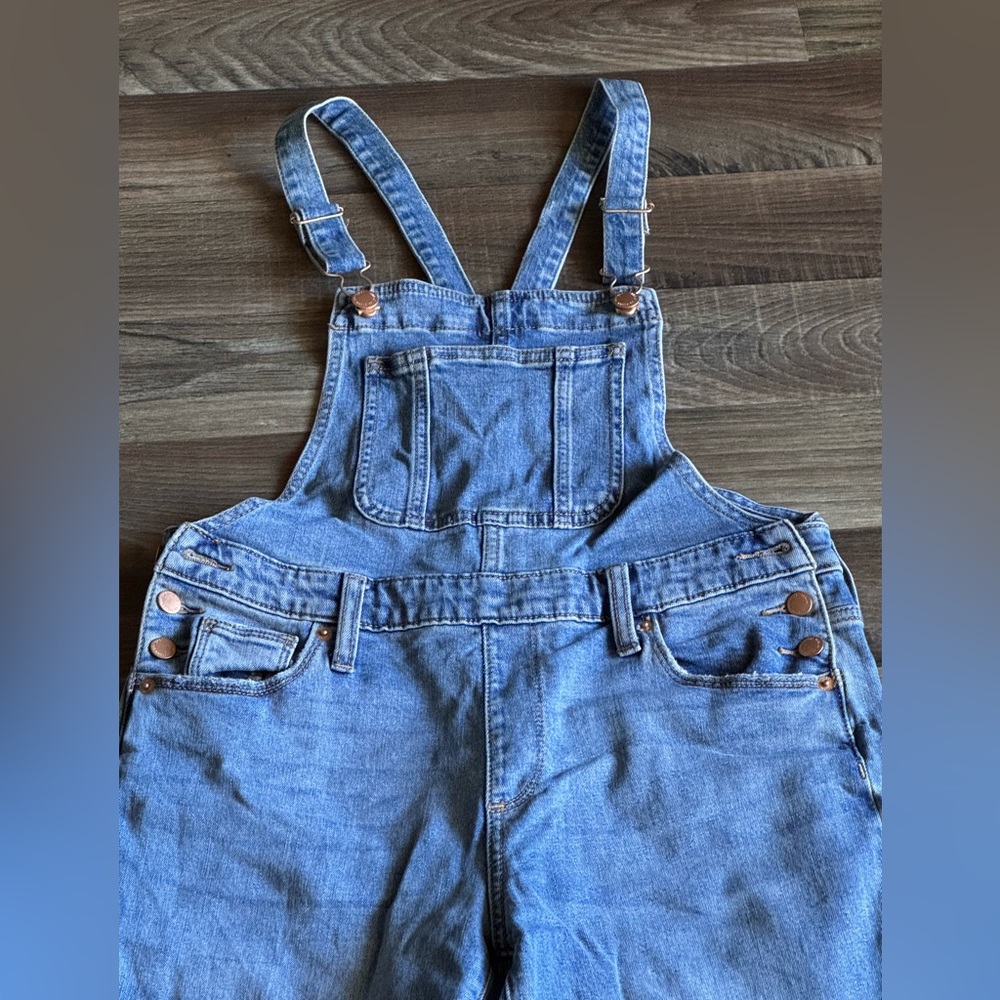 Universal Thread Overalls - image 1